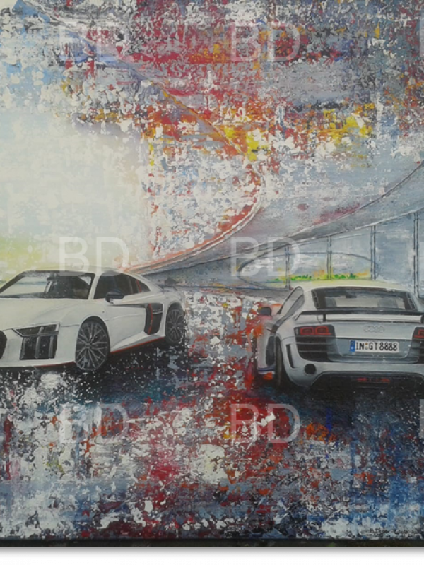 Audi R8 selektion 24h
